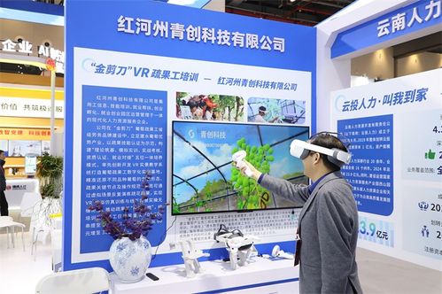 云南信息技术咨询服务在第三届全国人力资源服务业发展大会中展风采